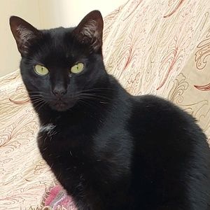 Meet your Posher, Mary